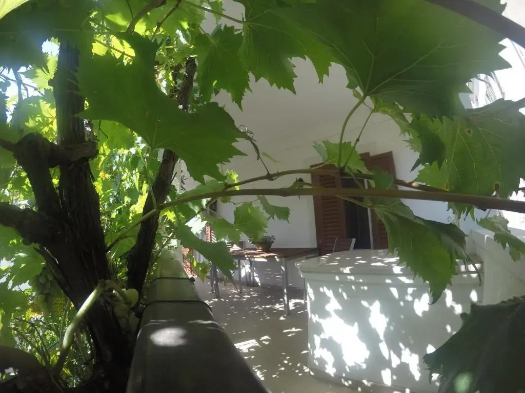 Guest House Neho