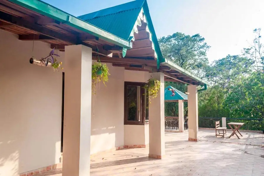 The Camphor Tree - Pura Stays