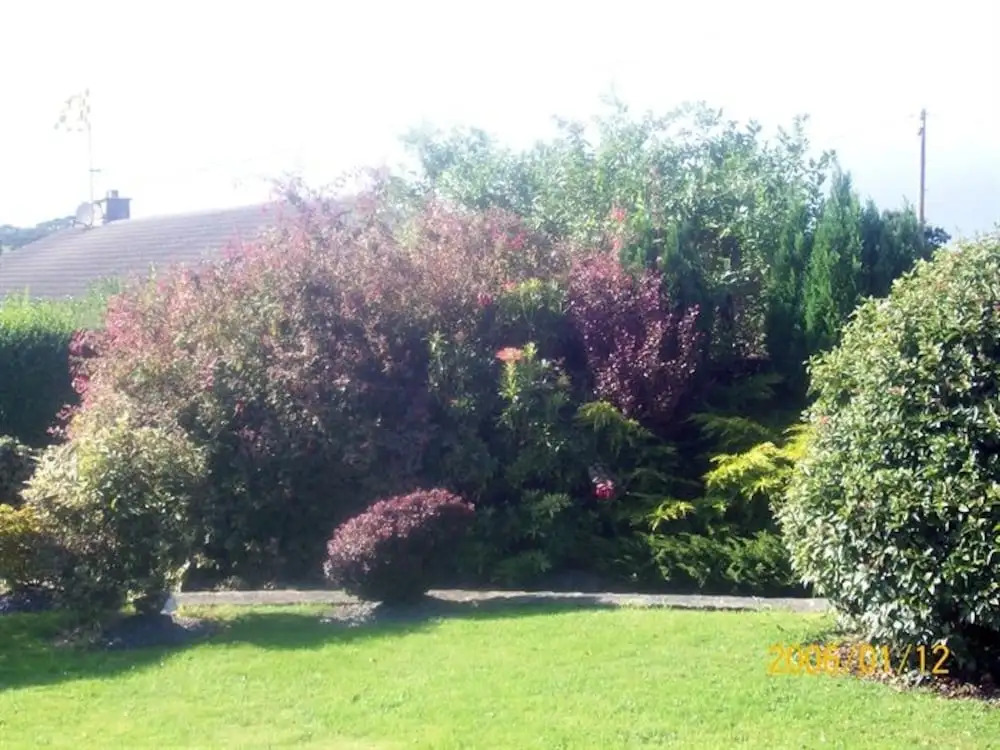 Suncrest B&B