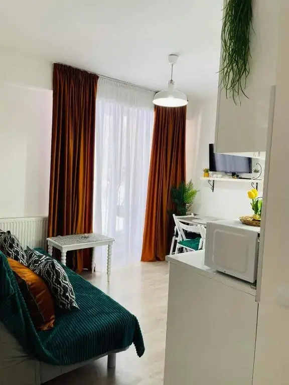 bakuriani didveli apartment