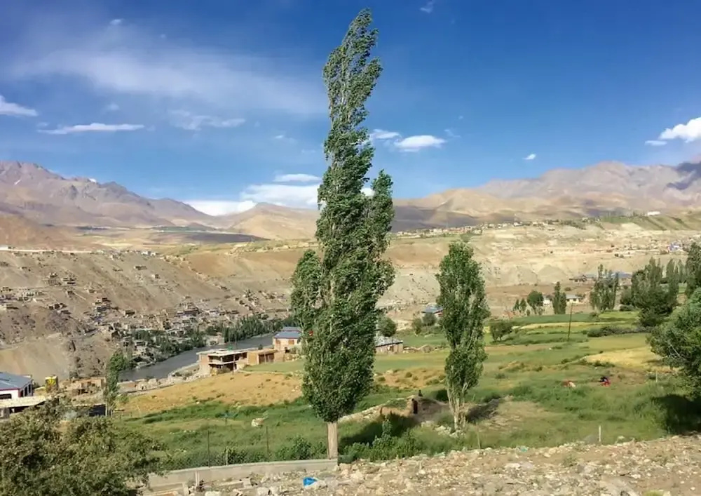 Hotel D'Zojila - Kargil