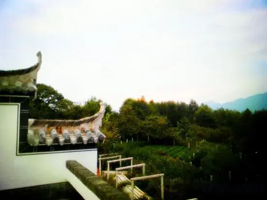 huangshanYixianguoyuanli