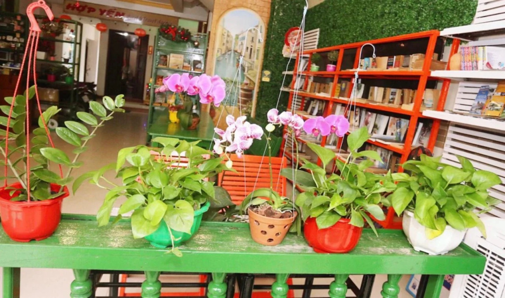 Hi Hợp Yến Homestay