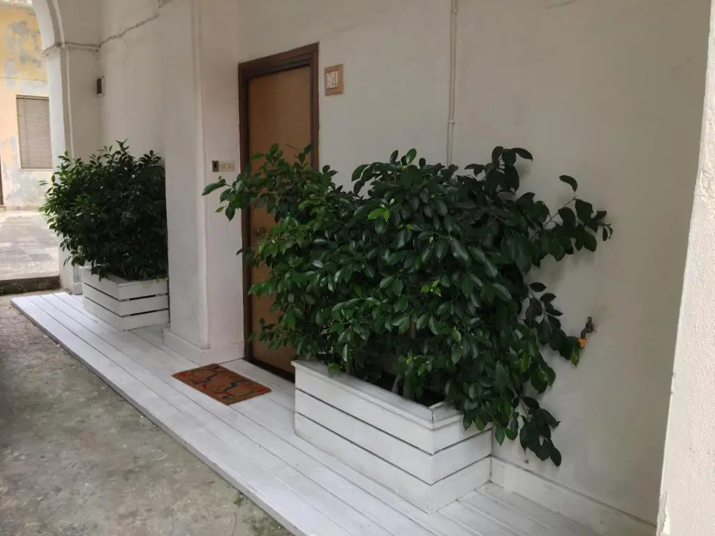 Massimo Apartment
