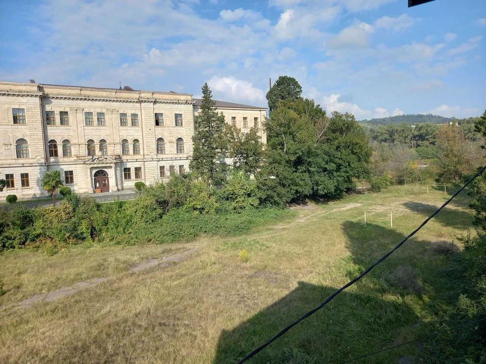 Hotel David