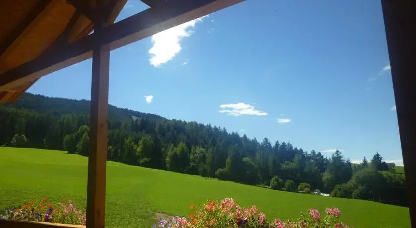 Radauerhof