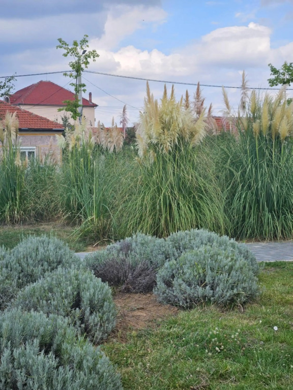 Iosia Premium Apartment