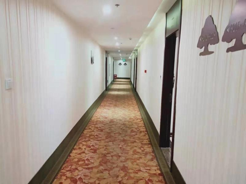 GreenTree Inn AnQing TongCheng City South ShengTang Road ShengTang International Hotel
