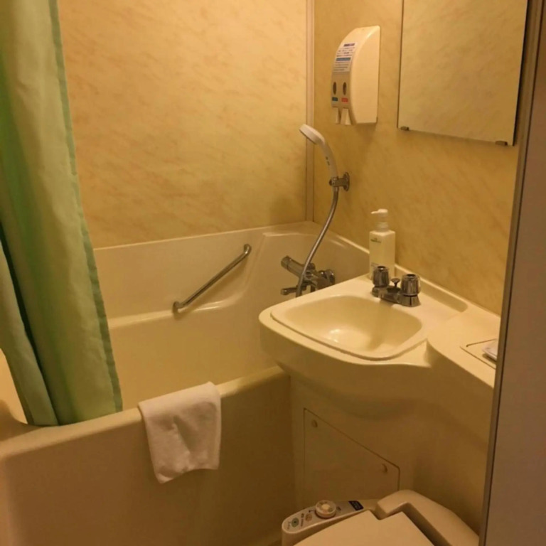 Shimizu City Hotel