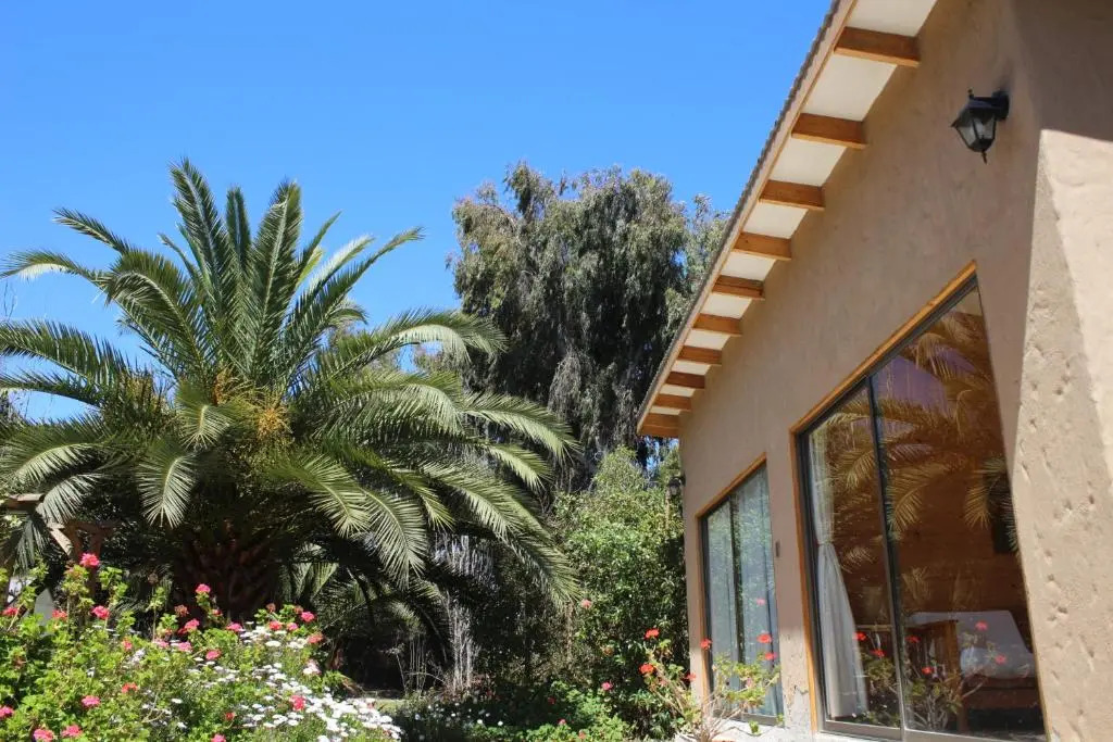 Eco Refugio El Arbol