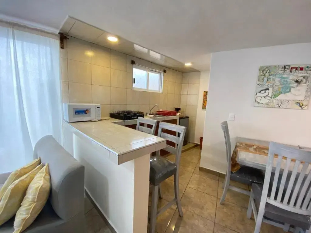Casa del bosque 2