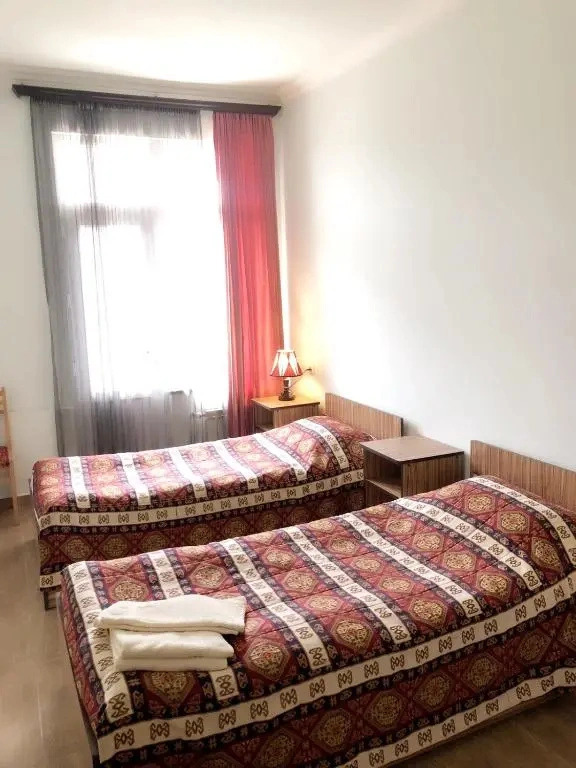 Zanger Hotel
