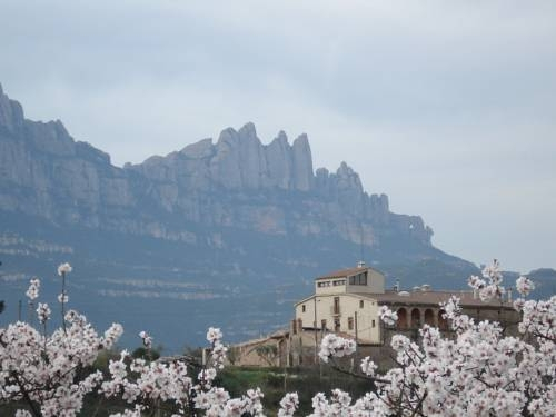 Mas del Puig