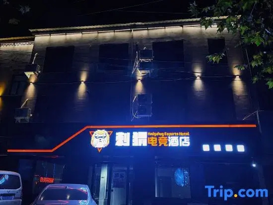 Hedgehog E-Sports Hotel (New Century Plaza Henan Agricultural Vocational College West Campus)