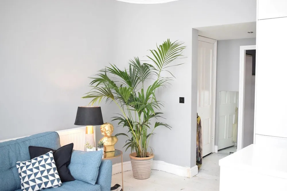 Stylish 1 Bedroom Flat Near Brixton