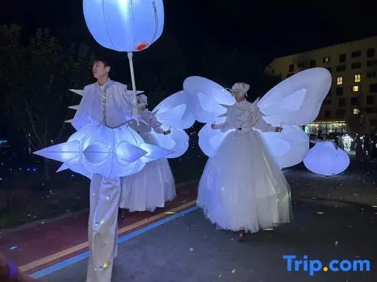 Tianjin Flamingo Le Pet Hotel