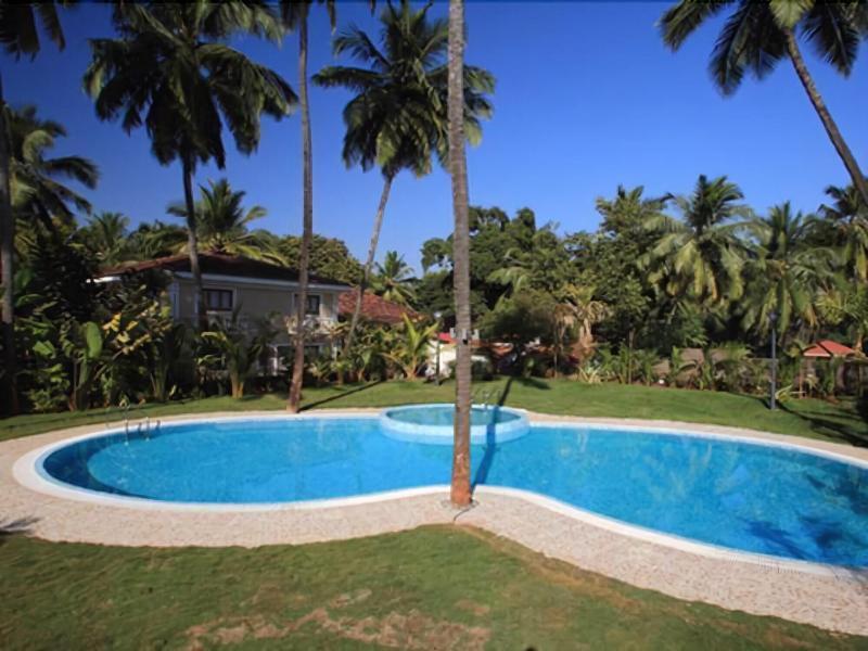 Godwin Candolim, Goa