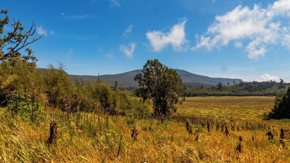 Anabas Mount Kenya Lodge