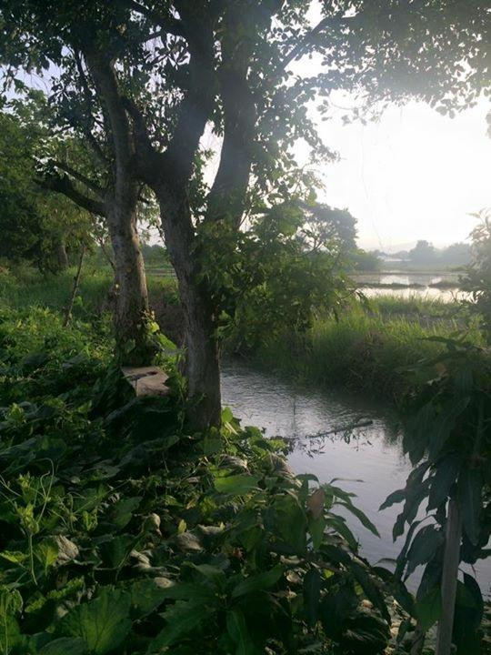 The Vacation Baanraipaina