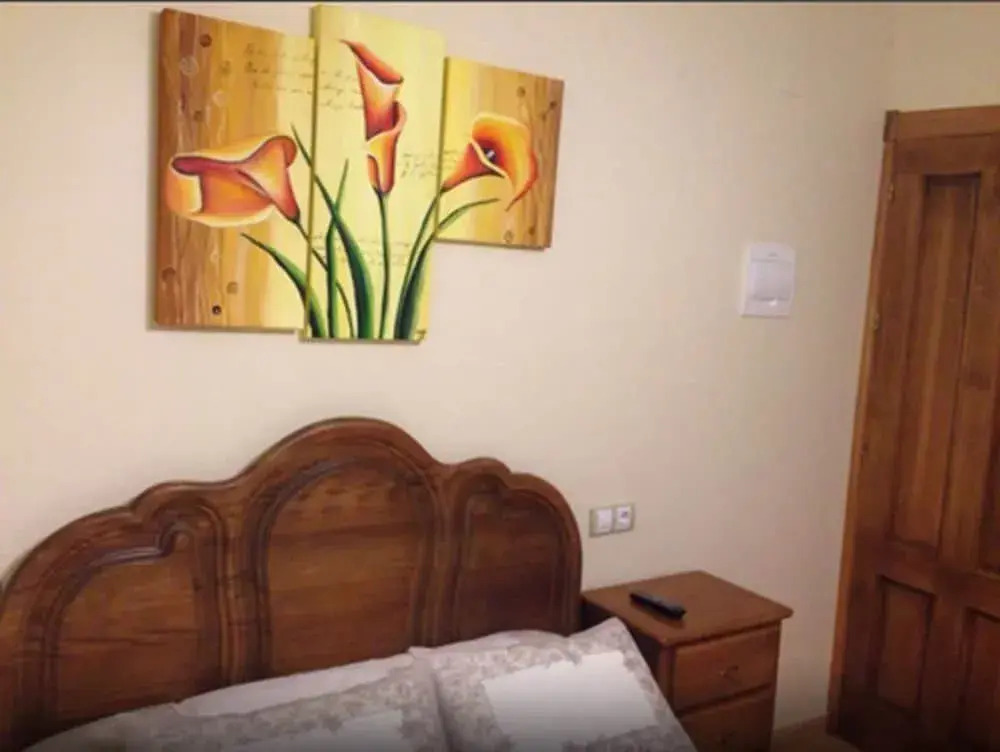 Hostal Tribal