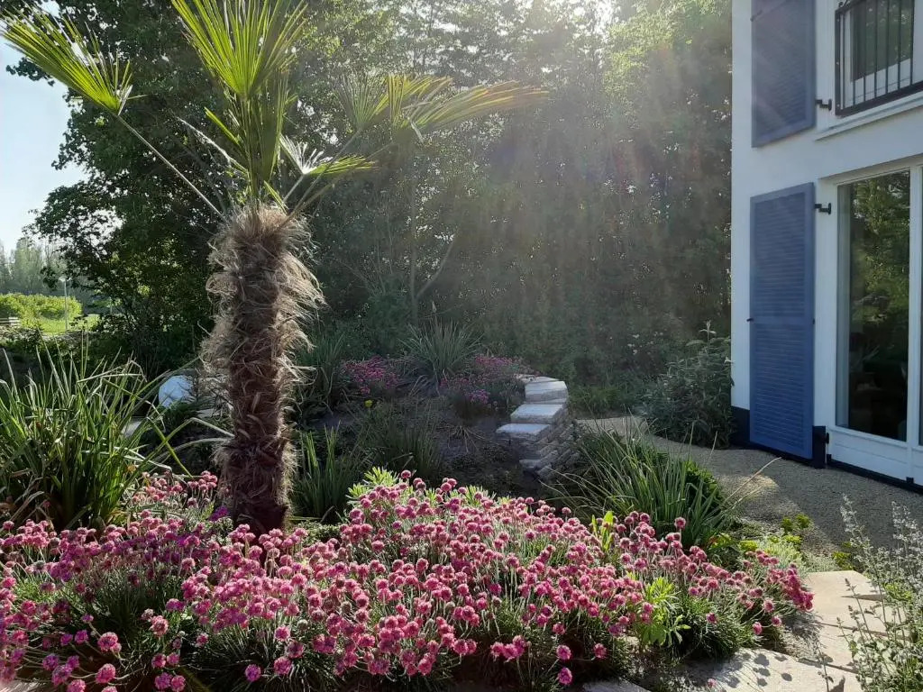 Logeerstudio 22