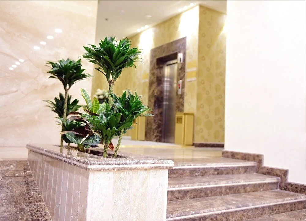 Al Ebreez Palace 3