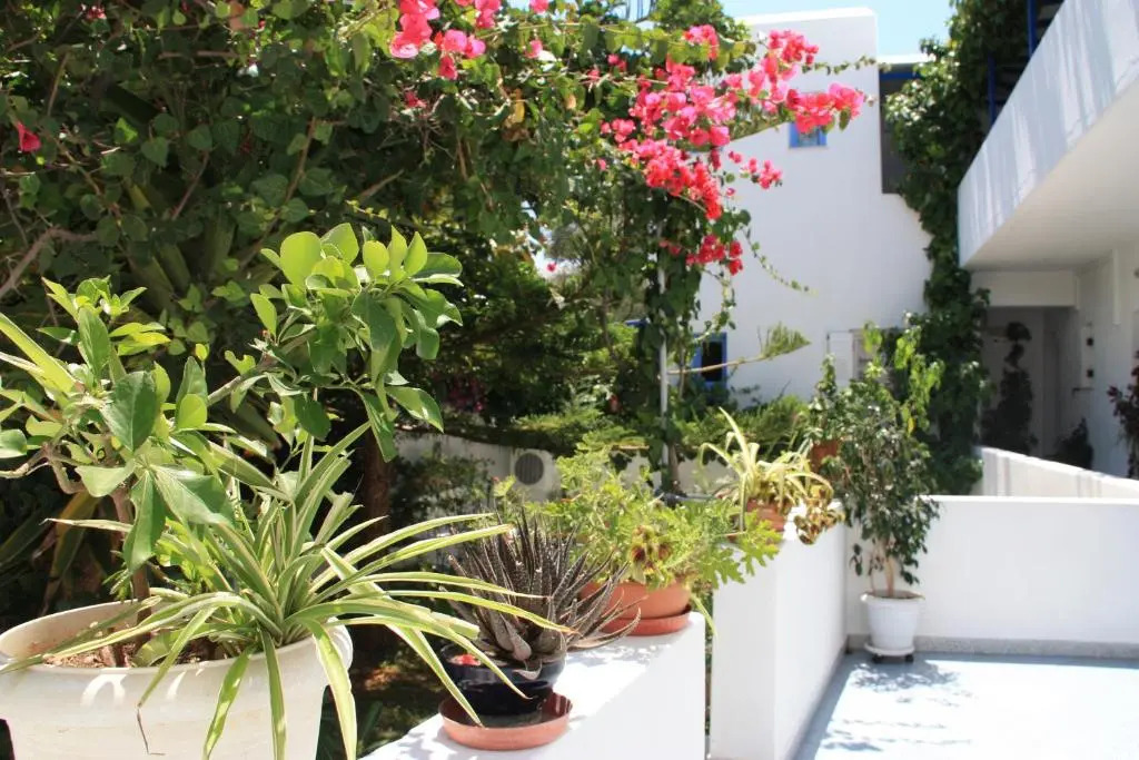 Loukia Apartments & Studios