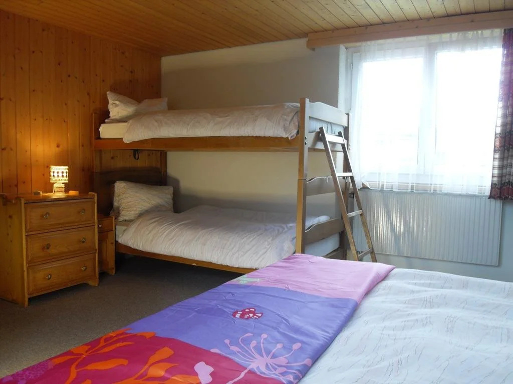 Hotel Alpina