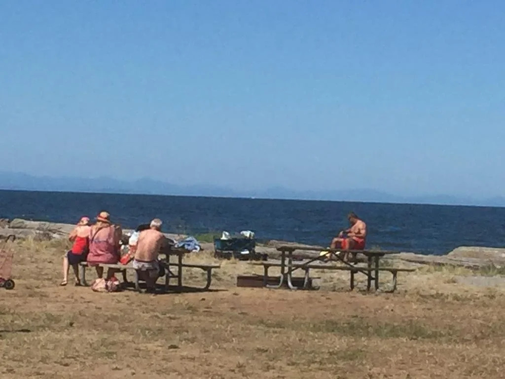 Driftwood Lodge