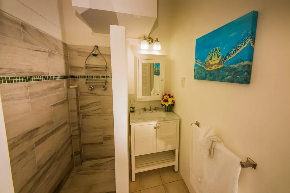 Oasis Marigot