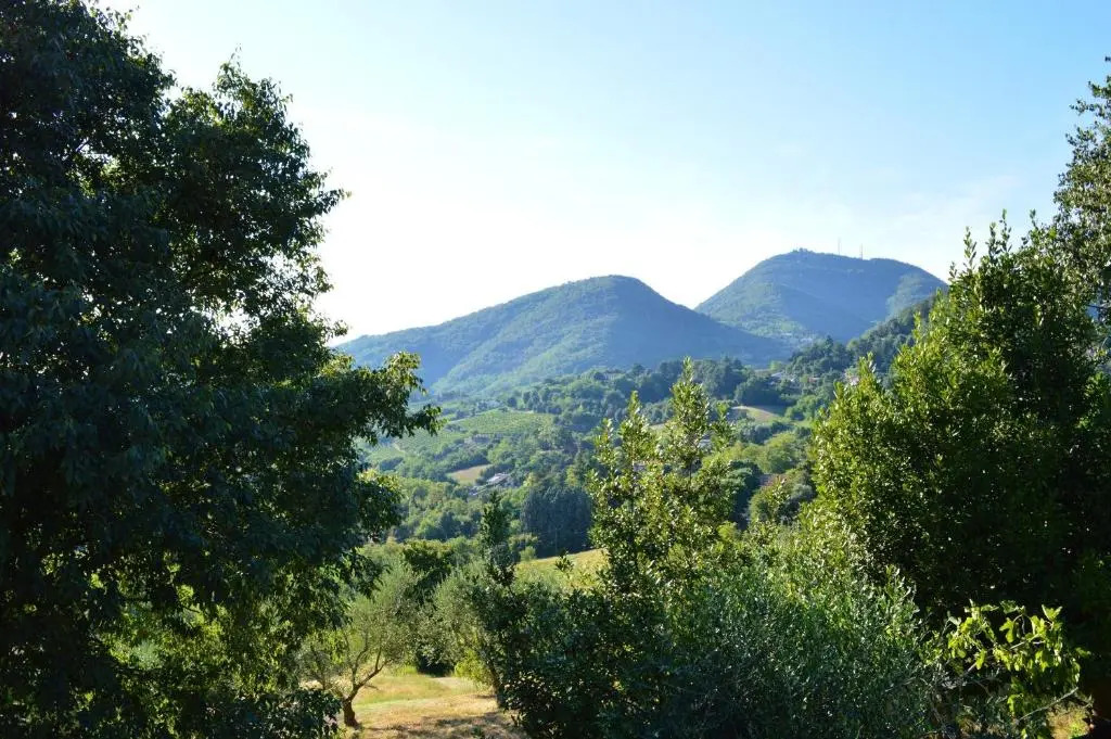 Colle Del Barbarossa