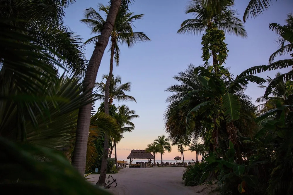 The Caribbean Resort Jamaican Palm House