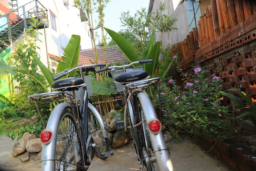 Phong Nha Friendly Home