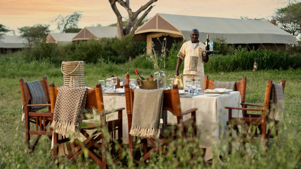 Serengeti Sojourn