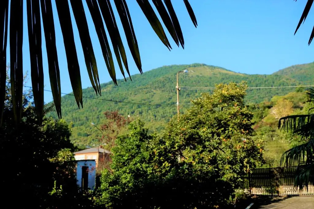 Guest House on Demerjipa 126