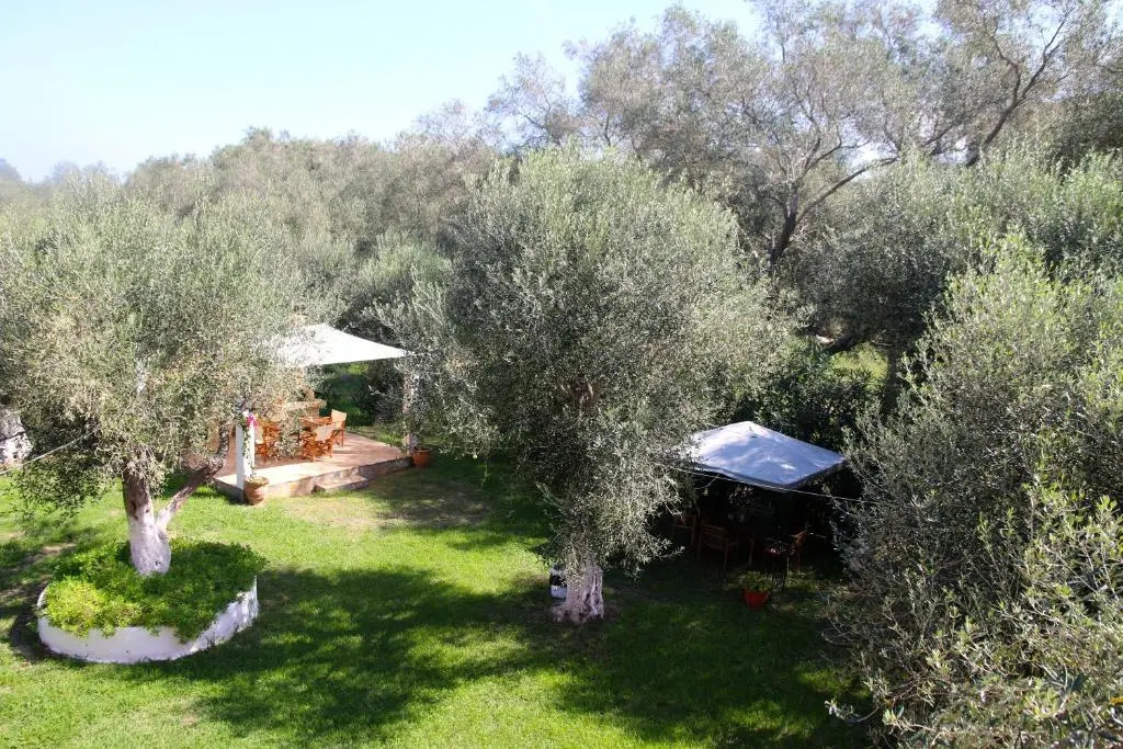Adriana Studios