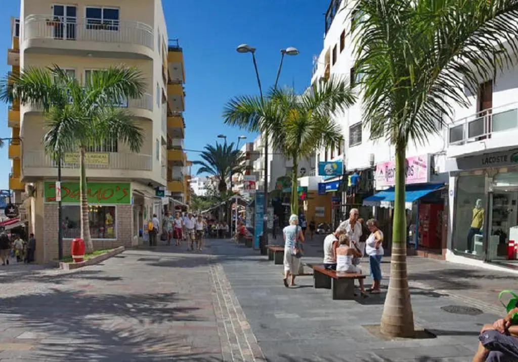 Canarian Garden Building Jardines Canarios