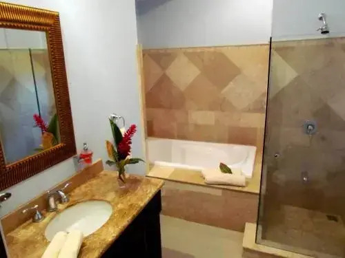 Tamarindo Beach For Rent Condo 206