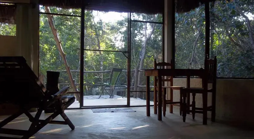 Treetop Palapa