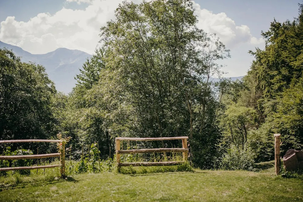 Maso nel bosco