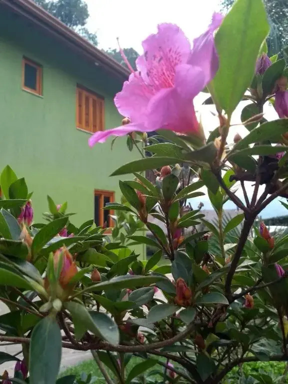 Casa e Flat Conforto Gramado