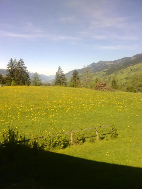 Haus Riedmann