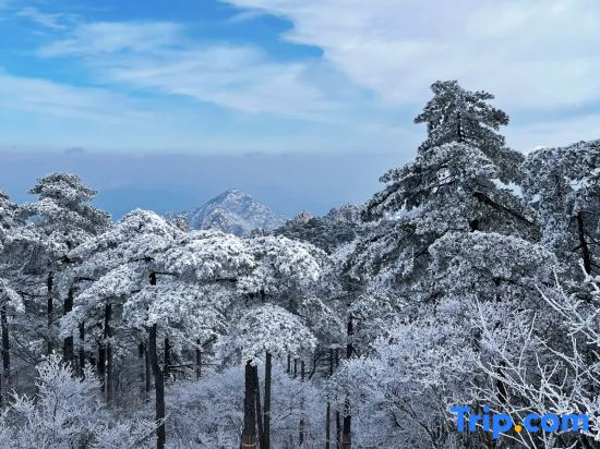 Yunhai Jiangnan Tianchi Light Luxury Holiday Guesthouse