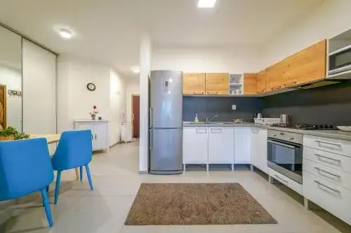 Vesna Convenient Apartment