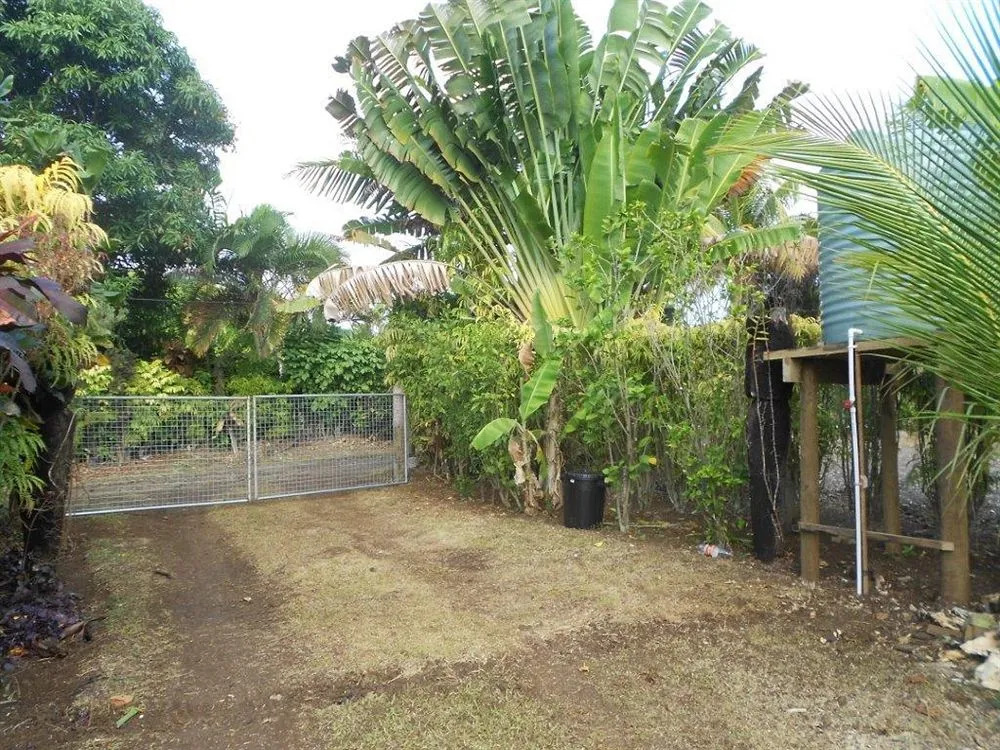 Dolphin Bay Divers Bungalow
