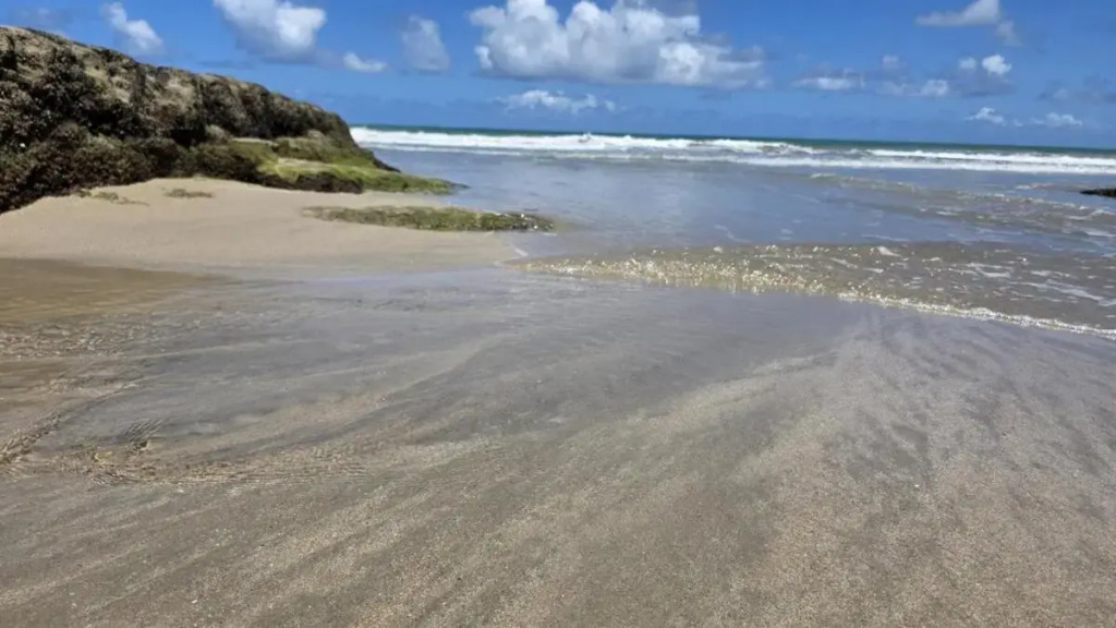 Casa Praia dos Carneiros