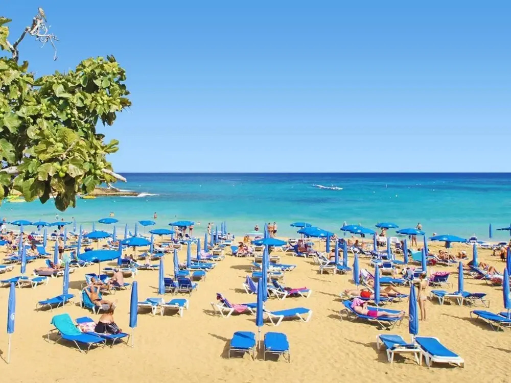 Margot Paralimni in Paralimni