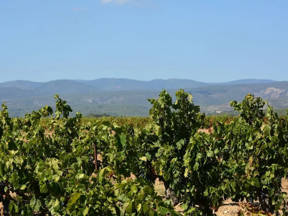Villa in Caunes-minervois With Private Pool