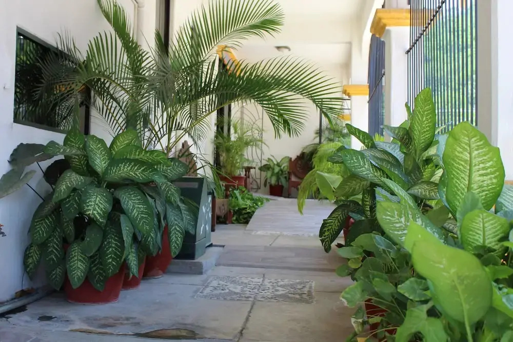 Hotel Arrecife Huatulco Plus