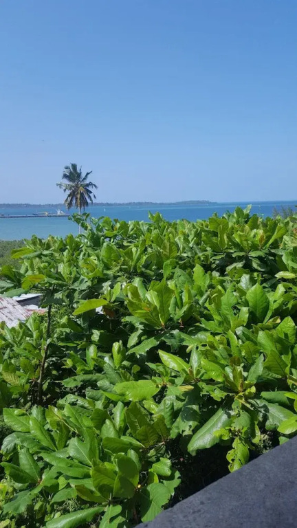 Ocean panorama